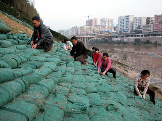 綿陽河道綠化生態(tài)袋